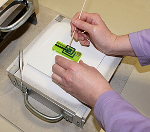 Fusing Online-Kurs - Legen der Glasteile Fusing Online-Kurs - Legen der Glasteile